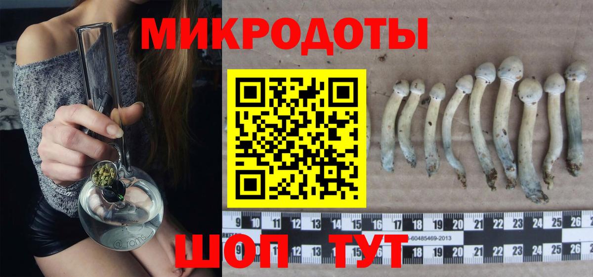 Ефремов  Псилоцибиновые грибы Psilocybe  Вход с VPN  Псилоцибиновые грибы MAGIC MUSHROOMS 